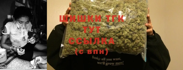 дурь Инсар