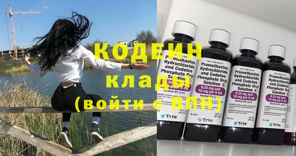 дурь Инсар