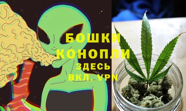 дурь Инсар