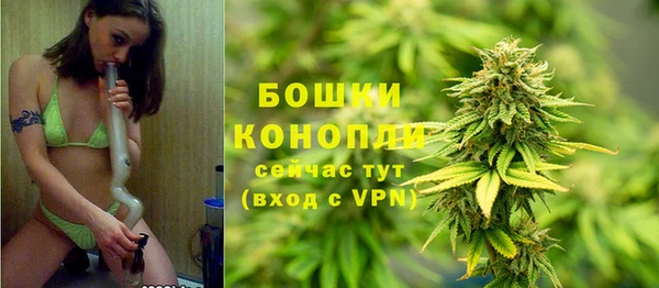 дурь Инсар