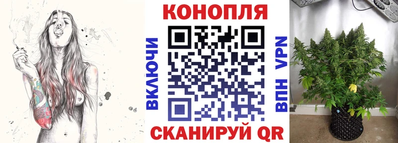 Купить закладки  Касли  Каннабис Ganja 